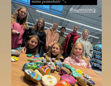Kamínky pro Super Zoo