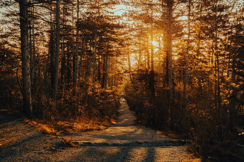zdroj obrázku: pixabay.com