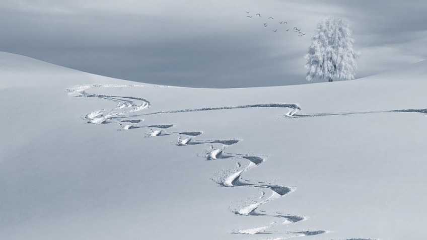 zdroj obrázku: pixabay.com